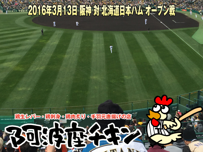 2016年3月13日 阪神 対 北海道日本ハム オープン戦