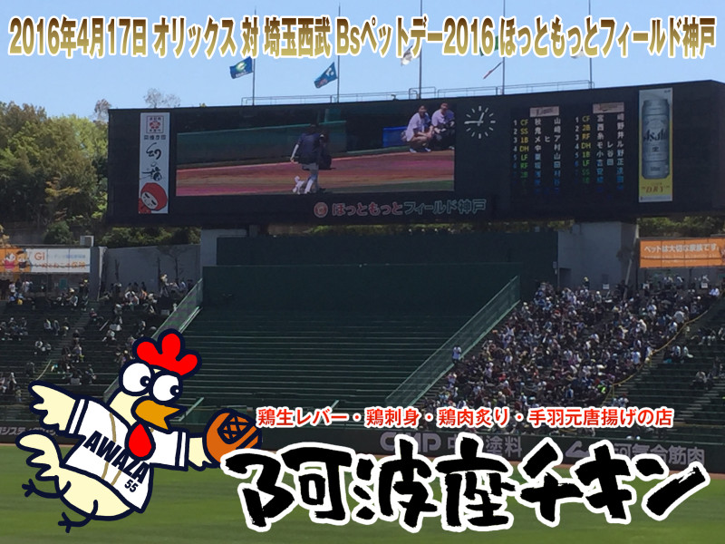2016年4月17日 オリックス 対 埼玉西武 Bsペットデー2016 ほっともっとフィールド神戸